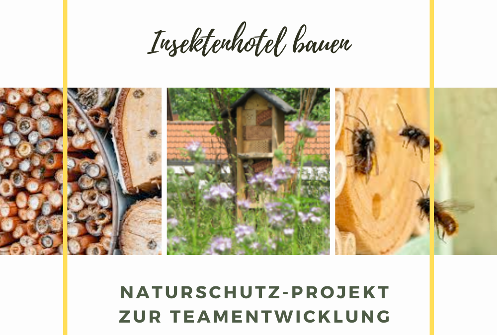 Green Teamevent: Insektenhotel bauen
