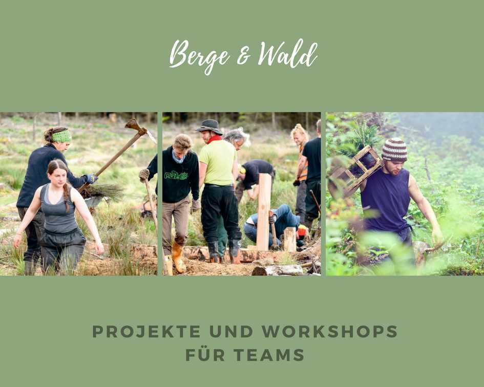 Green Team Event Berg und Wald