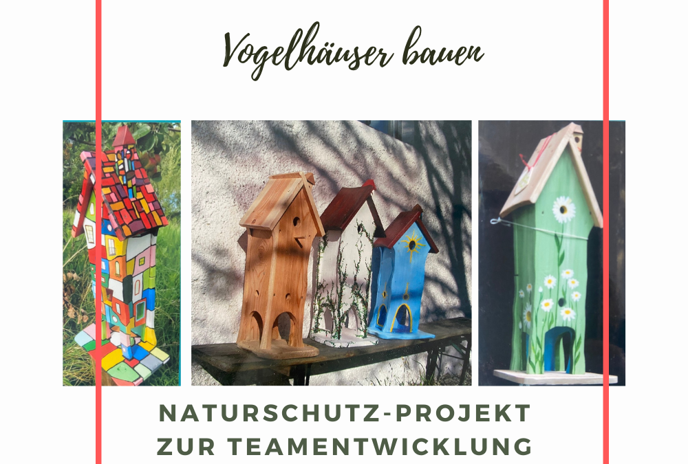 Green Teamevent: Vogelhäuser bauen