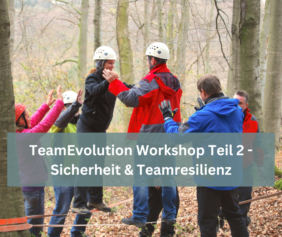 TeamEvolutionWokshop & Teamresilienz